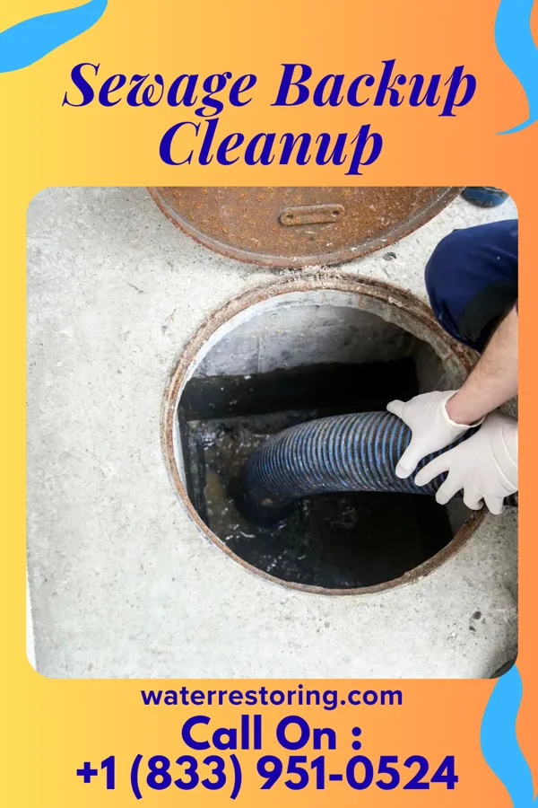 Sewage Backup Cleanup in Lewisville, AR